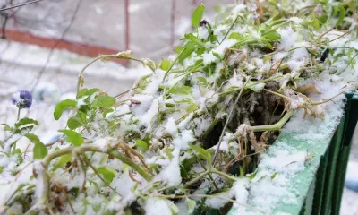 Снег вернется в Амурскую область 2 мая