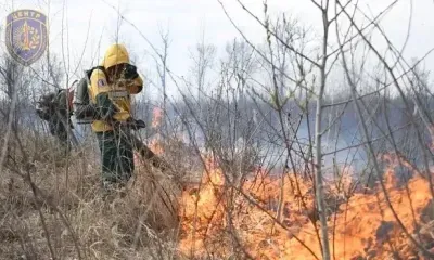 Пожар на площади более 200 гектаров потушили в Приамурье