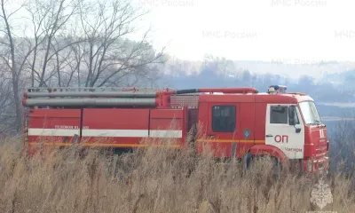 Огонь на площади 2 тысячи га ликвидировали в Амурской области