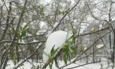 Снег выпал в Москве в мае