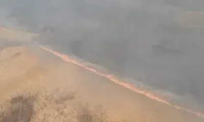 Бушевавший 10 дней пожар в Хинганском заповеднике в Приамурье потушили