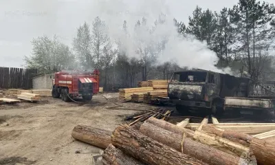 Сильный пожар с пилорамы перешел на лес в Амурской области