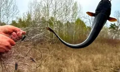 Браконьеры ловили рыбу в Орловском заказнике Приамурья