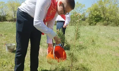 Сосны на своей аллее высадили выпускники из Амурской области
