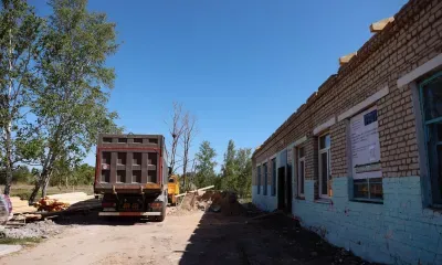 Старые тополя возле школы поручил спилить амурский губернатор 