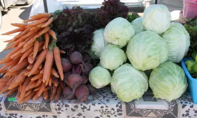 Овощи и фрукты из Китая впервые проверили на новом складе Приамурья