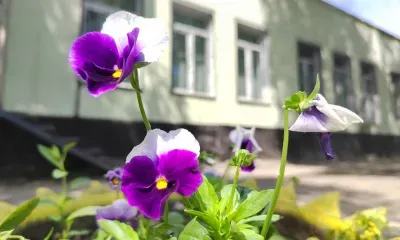 Финишная прямая: северные поселки завершают подготовку к юбилею БАМа