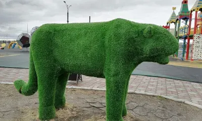 Вандал извинился за сожженного тигра на набережной Амура