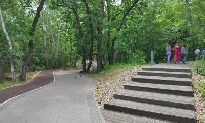 Маршрут здоровья откроется в зеленой зоне Благовещенска