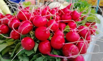 Ярмарки выходного дня заработают в Благовещенске