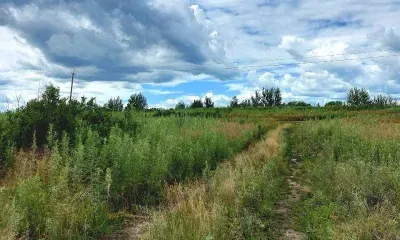 Запущенный земельный участок продал владелец в надежде уйти от ответственности