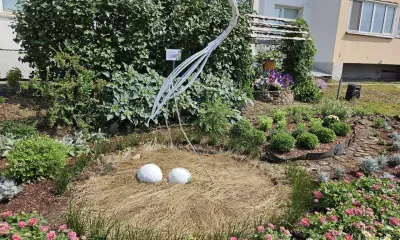 Любовь и мир: главные ценности "расцветают" во дворах Благовещенска