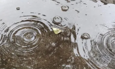 Ожидаются ливни: амурские синоптики опубликовали штормовое предупреждение