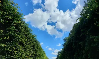 Сенсационную находку в руинах древнейшего храма сделали археологи