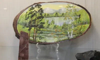 Самых спортивных и творческих пенсионеров выберут амурчане