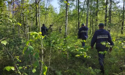 Найдено тело автомобилиста, которого искали в Приамурье с июля