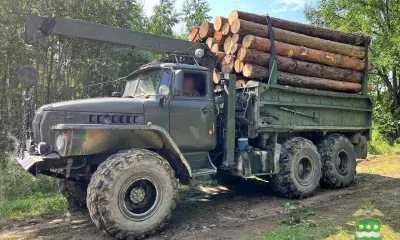 Спилено больше 90 деревьев: с поличным задержаны амурчане, подозреваемые в незаконной рубке