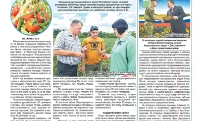 Помидоры японской и французской селекции выращивают на полях ДНР 