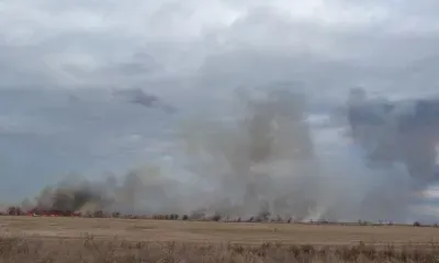 К осеннему сезону пожаров готовят заказники в Амурской области