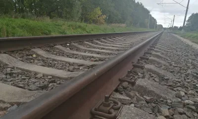Амурский тигр попал под поезд в Приморье
