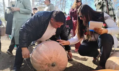 Более 10 блюд из тыквы попробовали на фестивале в амурском селе