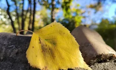 Воздух прогреется до +20 градусов в Амурской области, но возможен снег с дождем