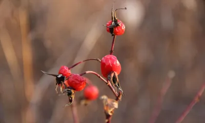 Переменная облачность в Амурской области 23 октября