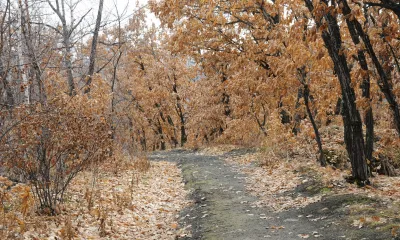 Параскева Грязнуха: большая грязь сулила обилие дождей весной