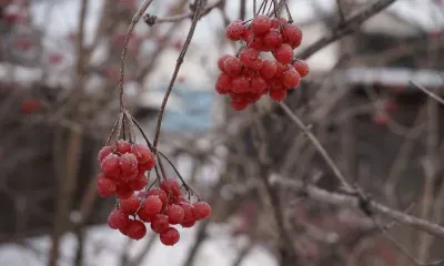 Температура опустится до 18 градусов мороза в Амурской области