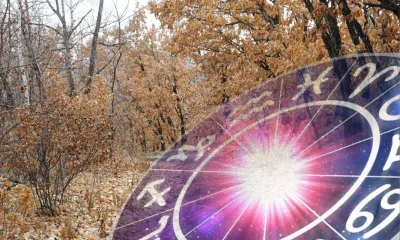 Баланс между работой и отдыхом следует найти Ракам 5 ноября