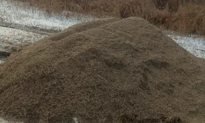 Столовые для животных открыли в Приамурье раньше обычных сроков