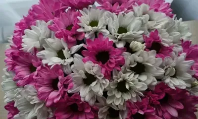 Россиянка вошла в топ-12 участниц конкурса "Мисс Вселенная"