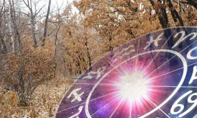 Провести день, ни в чем себе не отказывая захотят Стрельцы 22 ноября