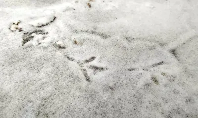 Снег охватил 90% территории России