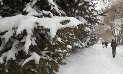 Очень сильный снег ожидается местами по южным и восточным районам Амурской области 26 ноября