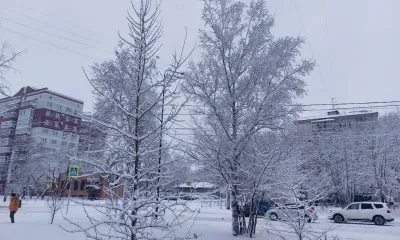 Небольшой снег в первый зимний день пройдет в Амурской области