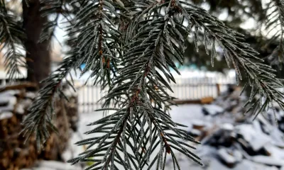 Переменная облачность, преимущественно без осадков 8 декабря в Амурской области