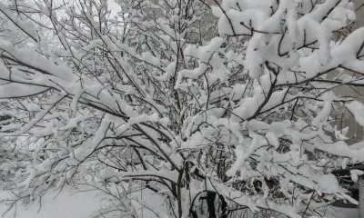 Парамон Зимоуказатель: очищали крыши от снежных «шапок» по особому ритуалу