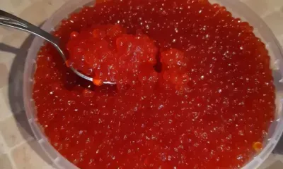 Новогодний стол без последствий: врач дал советы амурчанам