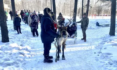 Оленя привезли в Тынду к детям участников СВО