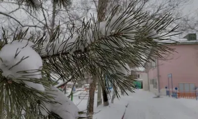 Облачно с прояснениями, местами в Амурской области 28 января пройдет небольшой снег