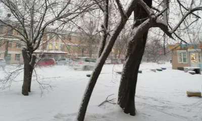 В отдельных районах Амурской области 30 января ожидается небольшой снег, поземок