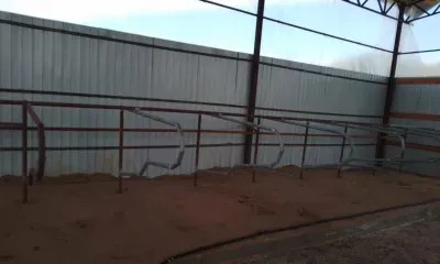 Мини-ферму открыл амурчанин после возвращения с СВО