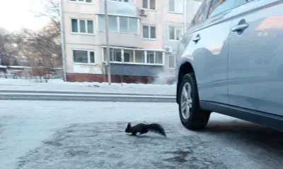 Небольшой снег пройдет местами в Амурской области 5 февраля