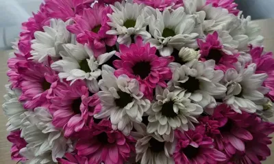 Цветы отправляют россиянам мошенники в преддверии 14 февраля и 8 марта