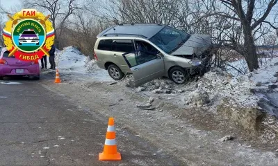ДТП с участием дерева лишило жизни водителя в Благовещенске