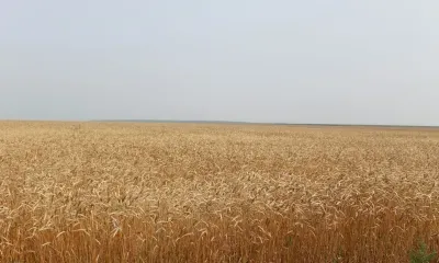 Выросшие зарплаты и развитая инфраструктура привлекают молодых аграриев в села