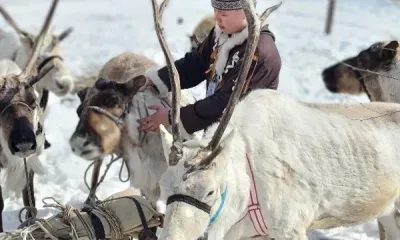 Оленеводы и охотники отметят праздник, зародившийся в советское время