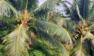 Катер, перевозивший российских туристов, взорвался в Таиланде