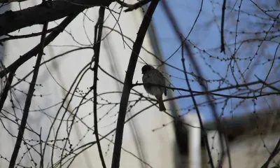 На большей территории Амурской области 10 апреля - снег, мокрый снег, дождь